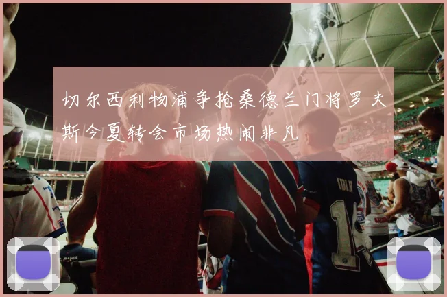 切尔西利物浦争抢桑德兰门将罗夫斯今夏转会市场热闹非凡